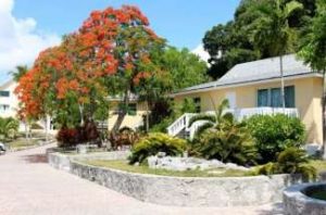 Bahamas Homes For Sale